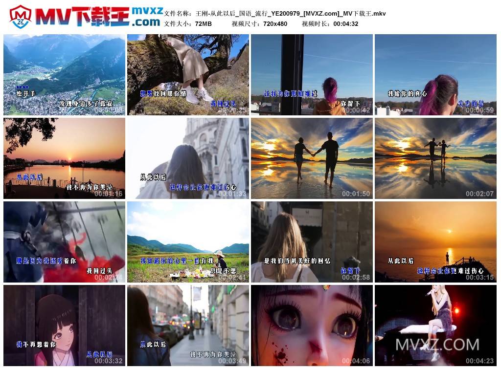 王刚-从此以后_国语_流行_YE200979